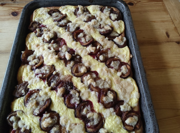 Kysnutý slivkový koláč s tvarohom a posýpkou (fotorecept) - obrázok 10