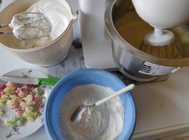 Kivi rezy (fotorecept) - obrázok 2