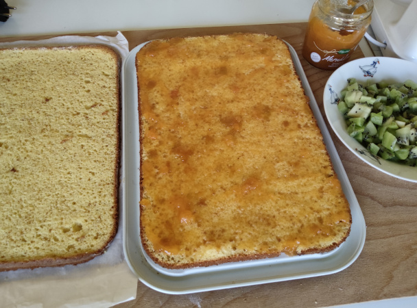 Kivi rezy (fotorecept) - obrázok 5