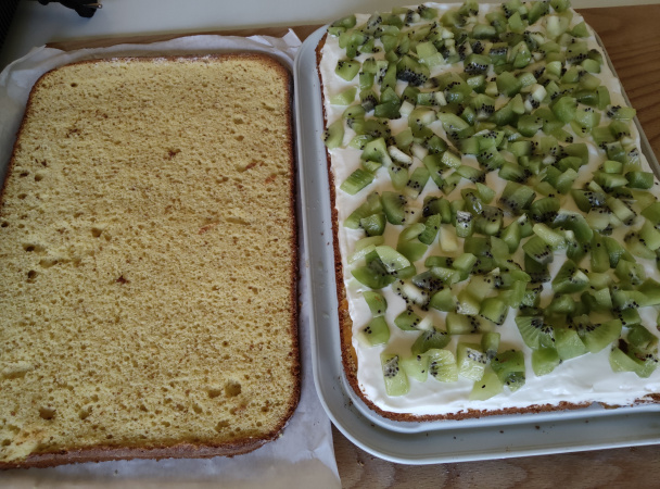 Kivi rezy (fotorecept) - obrázok 6