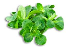 Oeuf mollet frit - obrázok 1