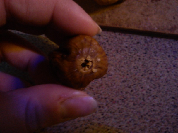 Plnené figy - obrázok 2