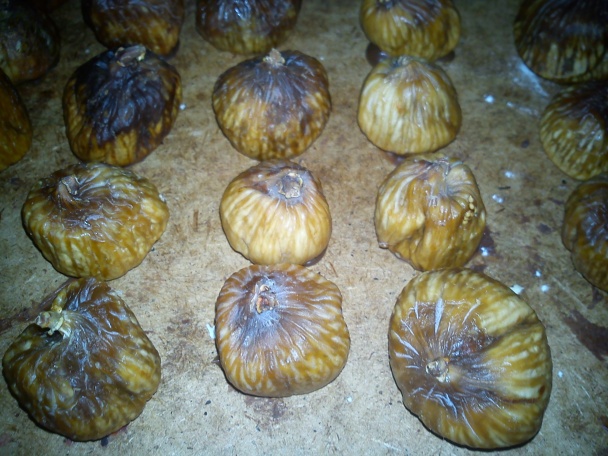 Plnené figy - obrázok 3