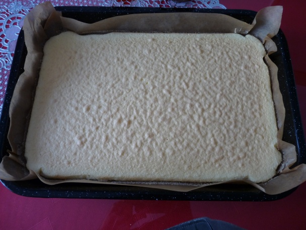 Kakaové rezy na mol (fotorecept) - obrázok 1