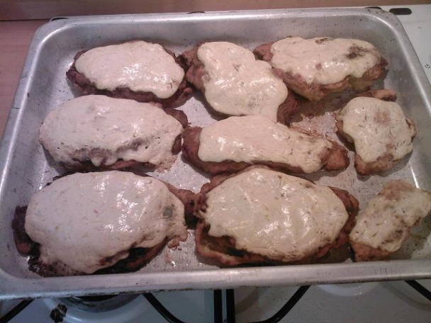 Korytnačky (fotorecept) - obrázok 4