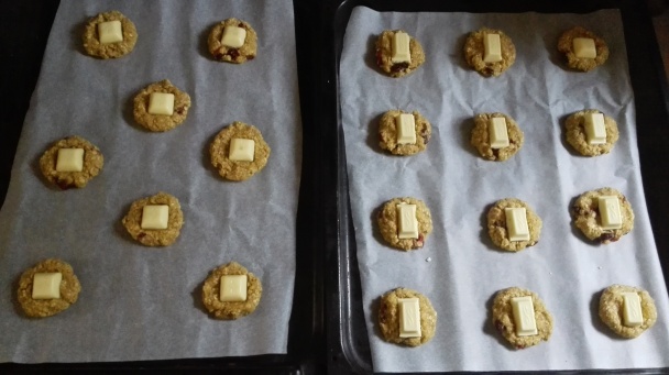 Ovsené cookies s brusnicami (fotorecept) - obrázok 4