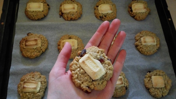 Ovsené cookies s brusnicami (fotorecept) - obrázok 5