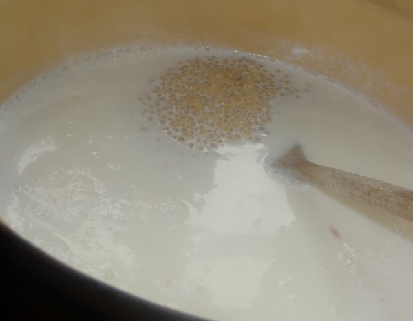 Tarhoňový nákyp (fotorecept) - obrázok 1