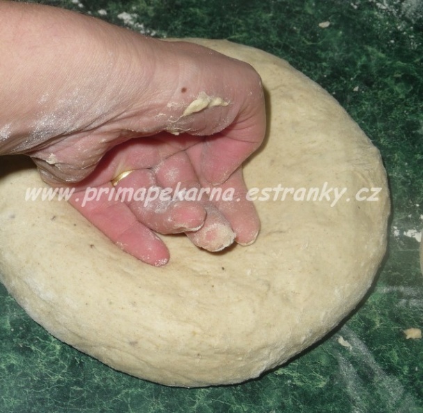 Jarný chlebík (fotorecept) - obrázok 3