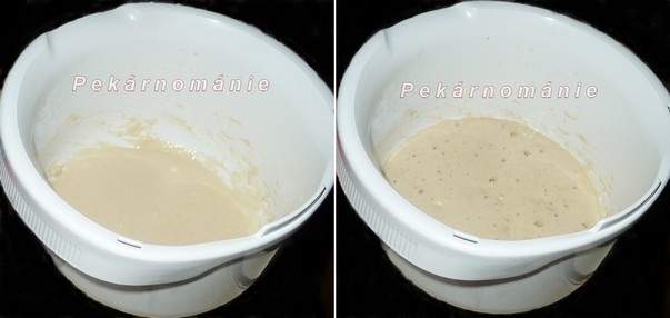 Poliš (fotorecept) - obrázok 5