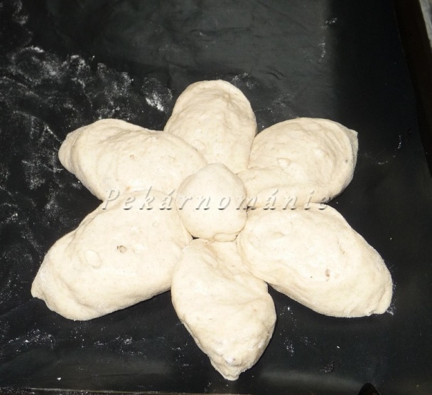 Margarétky (fotorecept) - obrázok 4