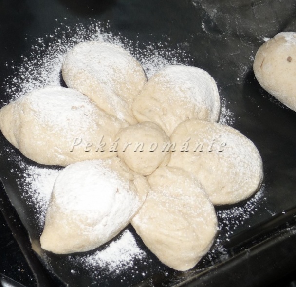 Margarétky (fotorecept) - obrázok 5