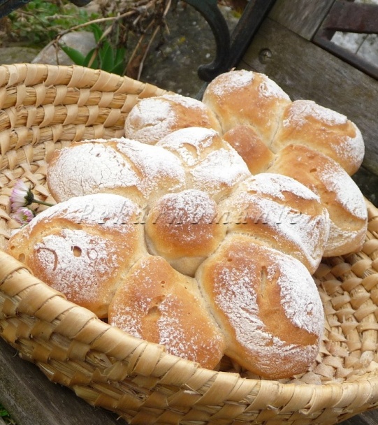 Margarétky (fotorecept) - obrázok 6