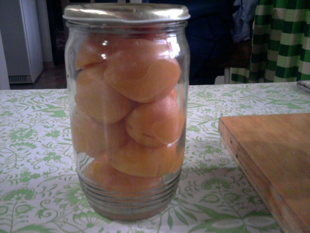 Broskyne v čokoláde (fotorecept) - obrázok 1