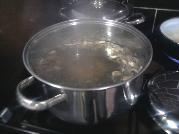 Hríbová mrvenica (fotorecept) - obrázok 2