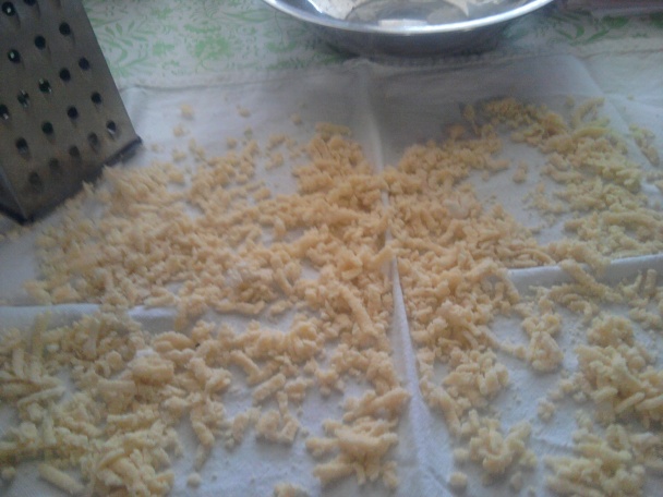 Hríbová mrvenica (fotorecept) - obrázok 6