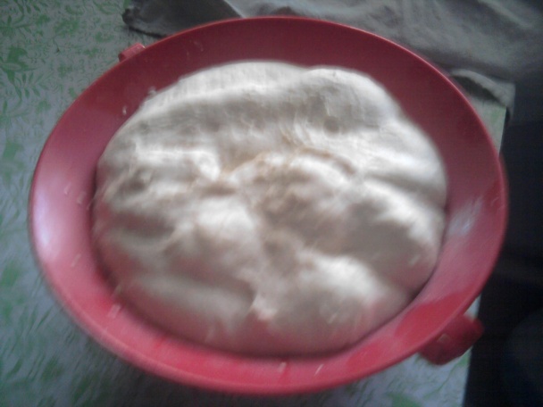 Kysnuté tvarohové koláčiky (fotorecept) - obrázok 2