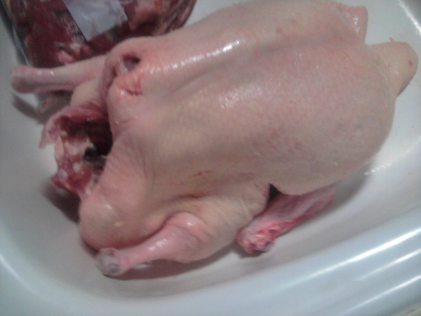 Plnená pečená kačka (fotorecept) - obrázok 1