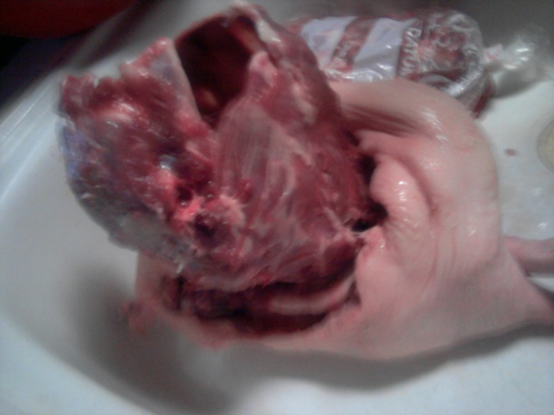 Plnená pečená kačka (fotorecept) - obrázok 2