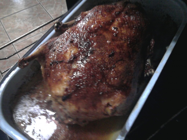 Plnená pečená kačka (fotorecept) - obrázok 7