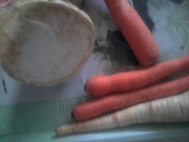 Kačací bujón (fotorecept) - obrázok 2