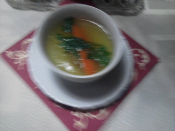 Kačací bujón (fotorecept) - obrázok 4