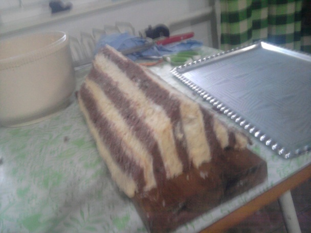 Strešné rezy (fotorecept) - obrázok 8