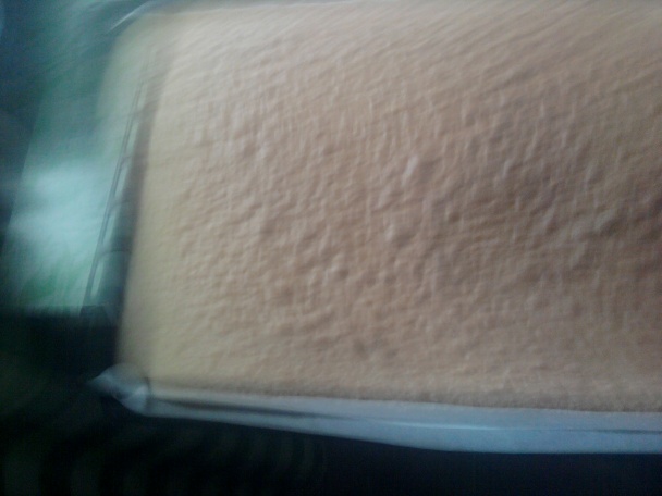 Punčový tunel (fotorecept) - obrázok 3