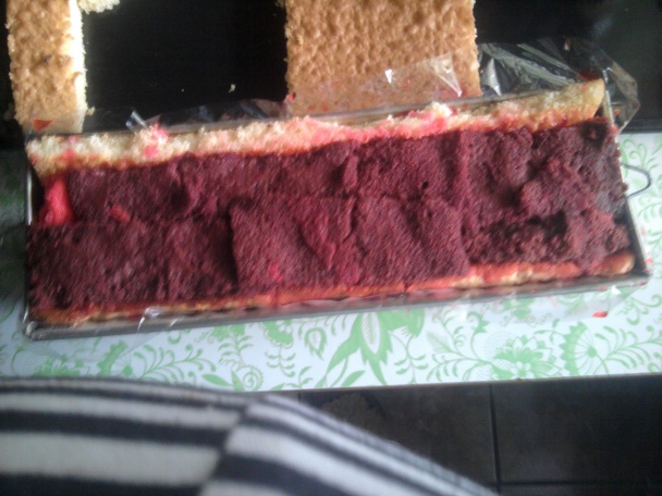 Punčový tunel (fotorecept) - obrázok 4