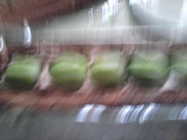 Čokoládový tunel plnený ovocím (fotorecept) - obrázok 3