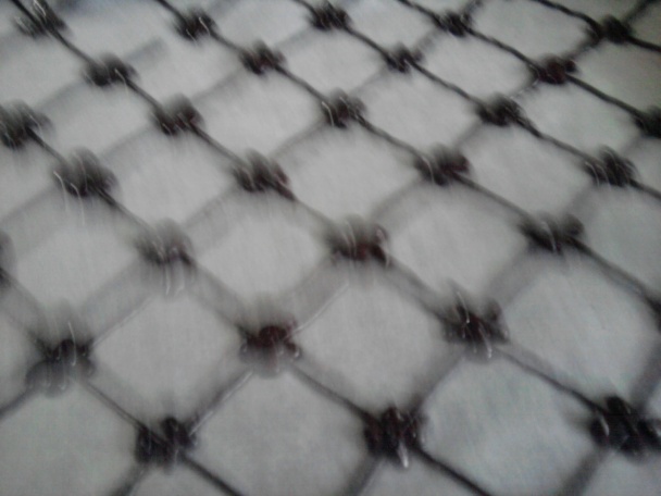 Roláda bez polevy (fotorecept) - obrázok 2