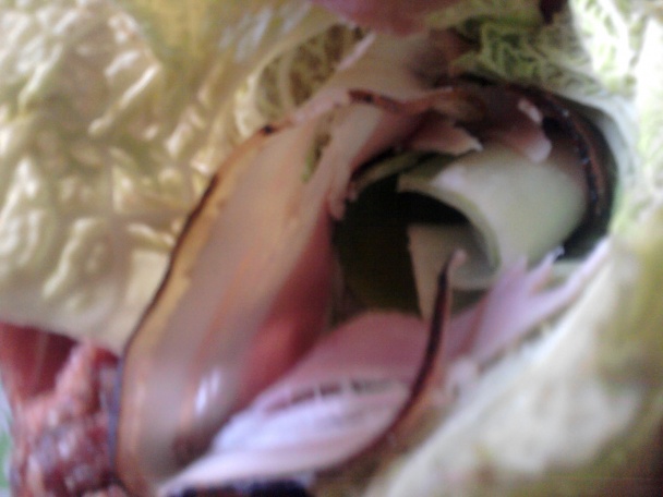 Bôčiková rolka plnená mletým mäsom a kelom (fotorecept) - obrázok 1