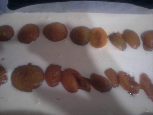 Marhuľový punčák (fotorecept) - obrázok 2