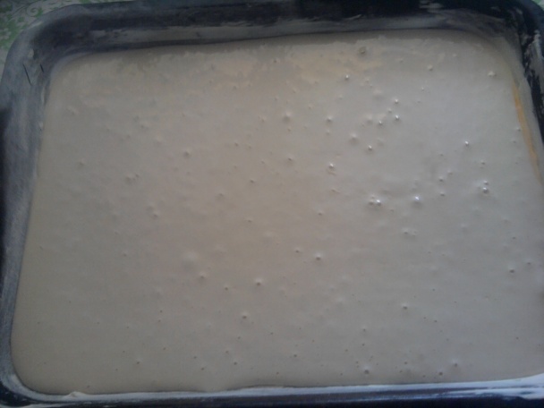 Tvarohový koláč-DIA (fotorecept) - obrázok 2