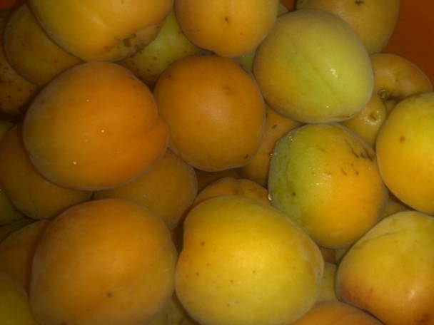 Rýchly marhuľový džem (fotorecept) - obrázok 1