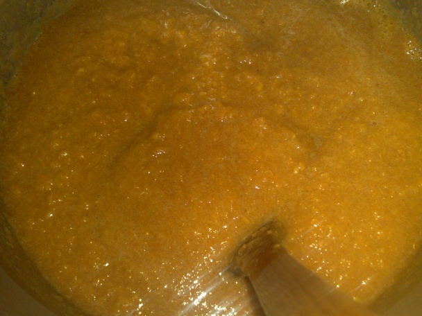 Rýchly marhuľový džem (fotorecept) - obrázok 2