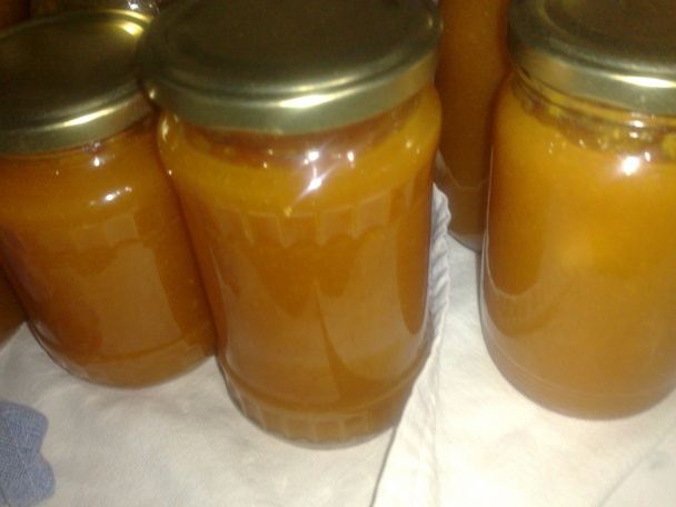 Rýchly marhuľový džem (fotorecept) - obrázok 4