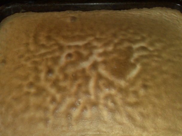 Vatovaný rez (fotorecept) - obrázok 2