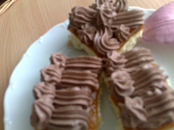 Vatovaný rez (fotorecept) - obrázok 4