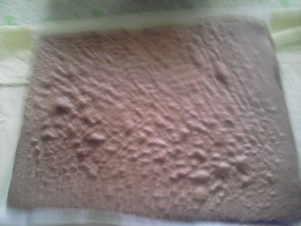 Zuzine rezy (fotorecept) - obrázok 3