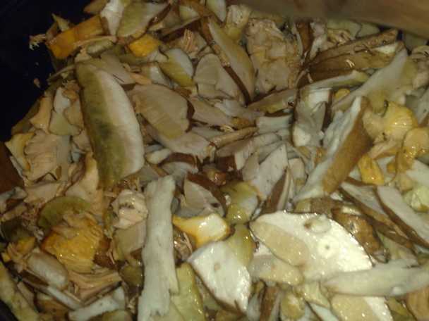 Sterilizované hríby vo vlastnej šťave (fotorecept) - obrázok 3