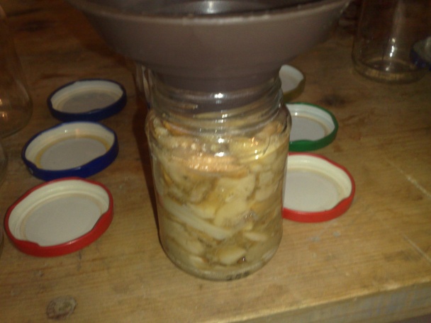 Sterilizované hríby vo vlastnej šťave (fotorecept) - obrázok 4