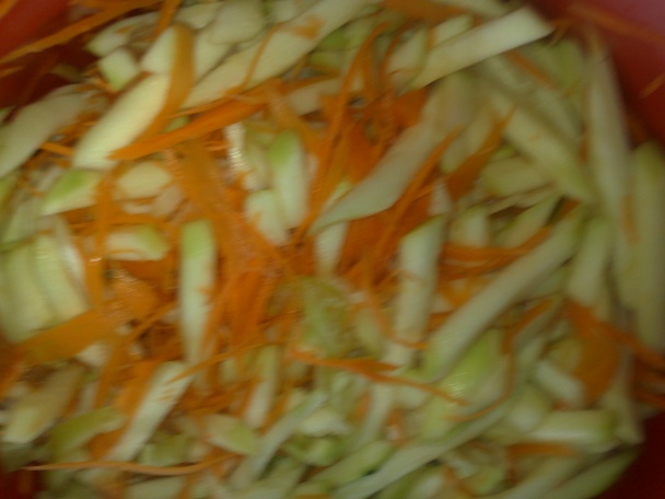 Cuketovo-mrkvový dia šalát (fotorecept) - obrázok 2