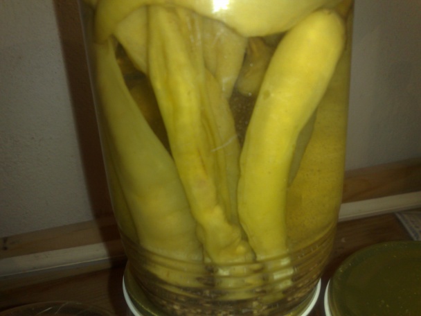 Karfiol s baraními rohami (fotorecept) - obrázok 2