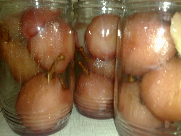 Hruškový kompót k divine (fotorecept) - obrázok 4