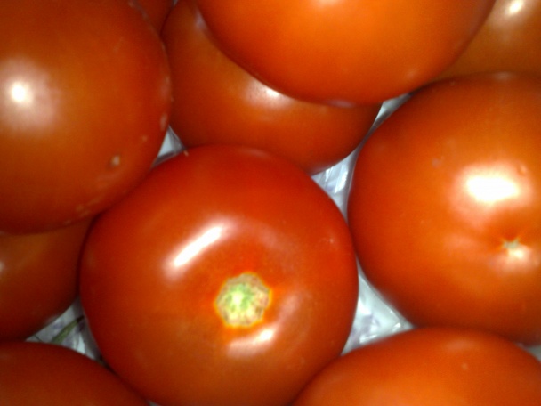 Paprika zaliata v paradajkovej šťave (fotorecept) - obrázok 2