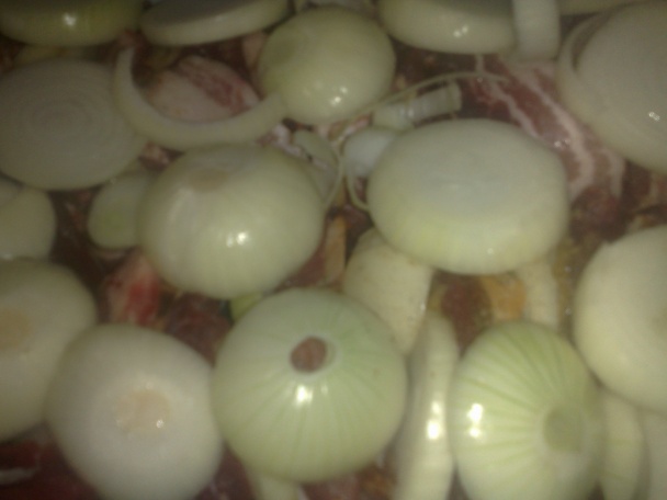 Živánka z daniela (fotorecept) - obrázok 4