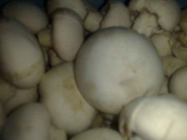 Zapečené kuracie prsia a šampiňóny (fotorecept) - obrázok 1