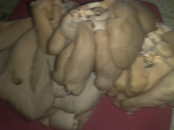 Šalát z hlivy ustricovitej (fotorecept) - obrázok 1