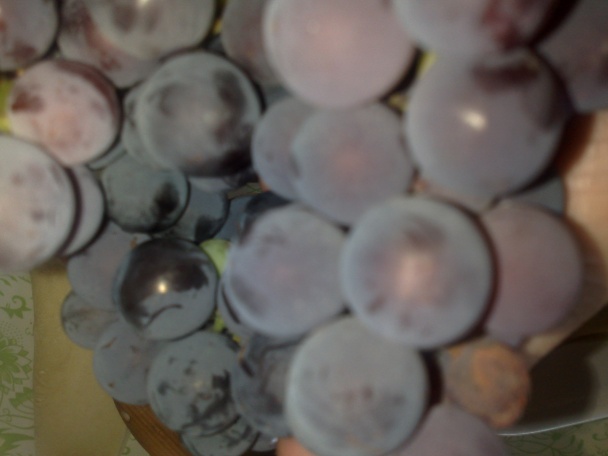 Hroznový koláč s tvarohom (fotorecept) - obrázok 2